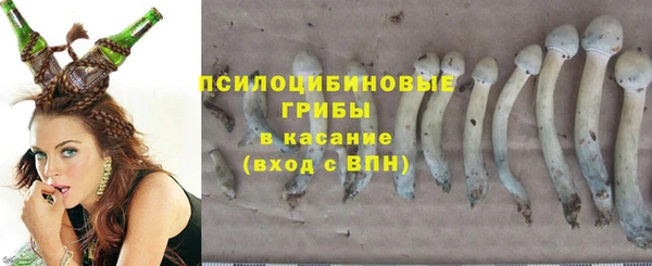 MESCALINE Алзамай