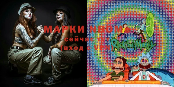 прущие грибы Алексеевка