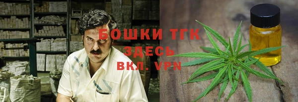 прущие грибы Алексеевка